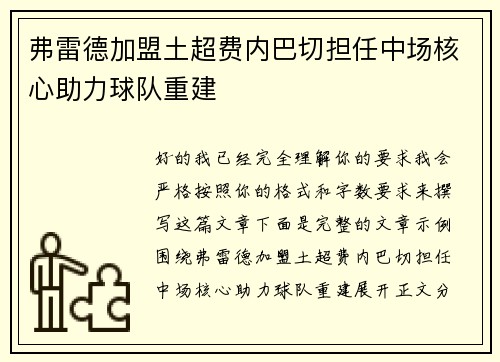 弗雷德加盟土超费内巴切担任中场核心助力球队重建